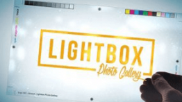 دانلود پروژه افتر افکت Lightbox Photo Gallery