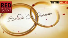دانلود رایگان پروژه آماده افتر افکت مخصوص عروسی Weddings for Trapcode Suite