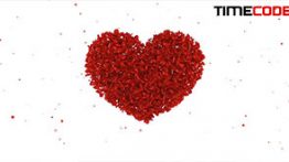 دانلود پروژه قلب افترافکت مخصوص کلیپ عروس و داماد Roses Wedding Album