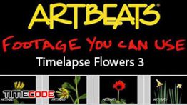 دانلود رایگان استوک فوتیج تایم لپس گل ARTBEATS – Timelapse Flowers 3 SD