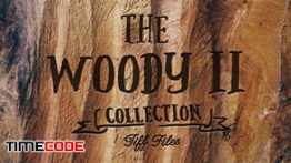 دانلود کاملترین مجموعه تکسچر چوب The Woody Collection II 5K