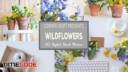 دانلود مجموعه عکس استوک از گل Wildflower Styled Stock Photo Bundle