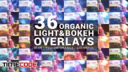 دانلود مجموعه 36 بوکه و نور واقعی با قابلیت سوپرایمپوز Organic Light & Bokeh Overlays
