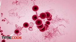 دانلود انیمیشن سلول های خون Red Blood Cells Animation