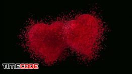 دانلود استوک فوتیج آلفا از تشکیل  قلب به شکل پارتیکل Video Footage Particles of Hearts With alpha channel