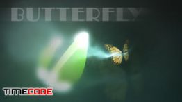 دانلود لوگو آماده پروانه ای مخصوص افترافکت Butterfly Logo Reveal