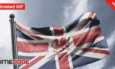 11 photorealistic flag mockup 180470041