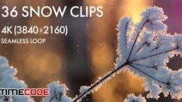 دانلود 36 کلیپ آلفا از بارش برف Realistic Snow Loops 4K