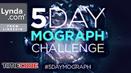 آموزش موشن گرافیک : انیمیت آبجکت های پیچیده Mograph Challenge: Animating the Elements