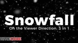 فوتیج بارش برف به سمت دوربین Snowfall On the Viewer Direction