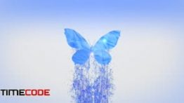 دانلود پروژه لوگو پرواز پروانه مخصوص افترافکت Splashing Butterfly Logo Reveal