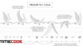 آموزش انیمیشن دو بعدی : پرواز پرنده 2D Animation: Animate Flying Creatures