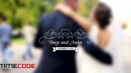 دانلود پروژه آماده افترافکت : فریم عروسی  Wedding Titles Vol 4