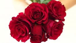 دانلود فوتیج دسته گل رز Bouquet of Red Roses