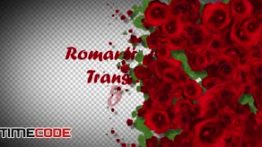 دانلود مجموعه ترنزیشن گل رز Romantic Roses Transitions
