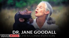 دانلود مستر کلاس نحوه محافظت از منابع طبیعی و محیط زیست توسط دکتر جین گودال Dr. Jane Goodall Teaches Conservation | MasterClass