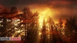دانلود استوک فوتیج : غروب خورشید در جنگل Clouds And Forest At Sunset
