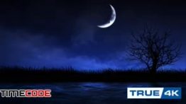 دانلود فوتیج موشن گرافیک : ماه در شب جزیره Crescent Moon Over Island
