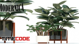 دانلود مدل آماده سه بعدی : گیاه و گلدان 3D Plants collection 72 Modernica pots model