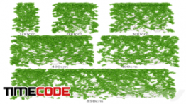 دانلود مدل آماده سه بعدی : گیاه The leaves