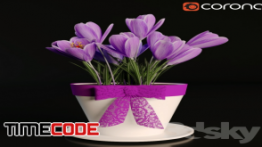دانلود مدل آماده سه بعدی : گل و گلدان A pot of crocuses