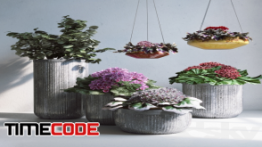 دانلود مدل آماده سه بعدی :  گل و گلدان Pottery Barn Planters