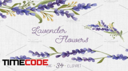 دانلود کلیپ آرت دسته گل بنفش Watercolor set with Lavender Flowers