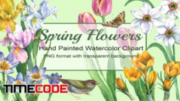 دانلود کلیپ آرت گل های بهاری Spring Flowers Watercolor Clipart