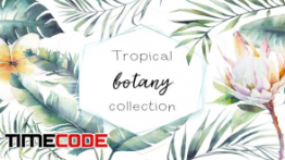 دانلود وکتور مجموعه گیاهان گرمسیری Tropical botany collection