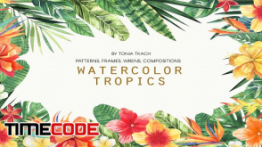 دانلود کلیپ آرت گل و گیاهان گرمسیری Watercolor Tropics