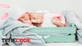 دانلود پریست لایت روم مخصوص عکس نوزاد BANEBERRY Newborn Lightroom Presets