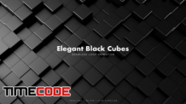 دانلود بک گراند موشن گرافیک Elegant Black Cubes 3