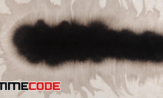 07 15 2018 10 07 25 010 ink drop 24