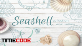 دانلود پترن موجودات دریایی Seashell collection of patterns