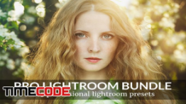 دانلود پریست حرفه ای لایت روم  Pro Lightroom Presets Bundle
