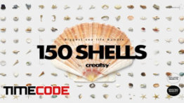 دانلود مجموعه 150 عکس استوک صدف دریایی Shells Bundle isolated objects