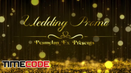 دانلود پروژه آماده افترافکت : عروسی Wedding Promo 100492