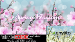 دانلود پروژه آماده افترافکت : آلبوم عکس عاشقانه Spring Blossom