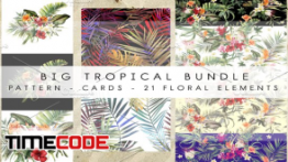 دانلود مجموعه پترن شاخ و برگ Big tropical bundle
