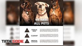 دانلود 6 پوستر لایه باز پت شاپ Pet Shop Flyer