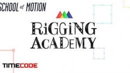 دوره حرفه ای آموزش ریگ بندی کاراکتر در موشن گرافیک  School Of Motion – Rigging Academy