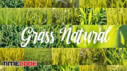 دانلود مجموعه عکس علف و سبزه ساز Natural HD Grass Backgrounds