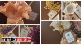 پروژه افترافکت : 6 کارت دعوت دیجیتال عروس Six Wedding Invitations