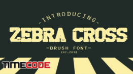 دانلود فونت انگلیسی برای تیتر Zebra cross brush font