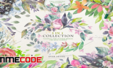09 02 2018 20 22 28 198 1854839 70 OFF 3 in 1 COLLECTION 9384581