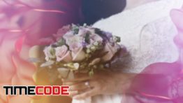 دانلود پروژه آماده افترافکت : اسلایدشو عروسی Wedding Moment Slideshow