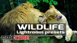 دانلود پریست رنگی لایت روم : عکاسی حیات وحش Wildlife Lightroom Presets