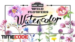 دانلود ست وکتور گل آبرنگی Wild Flowers watercolor PNG set