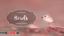 دانلود 15 پریست لایت روم مخصوص عکاسی طبیعت Birds Lr Presets