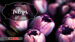 دانلود 10 پریست لایت روم Tulips Lr Presets
